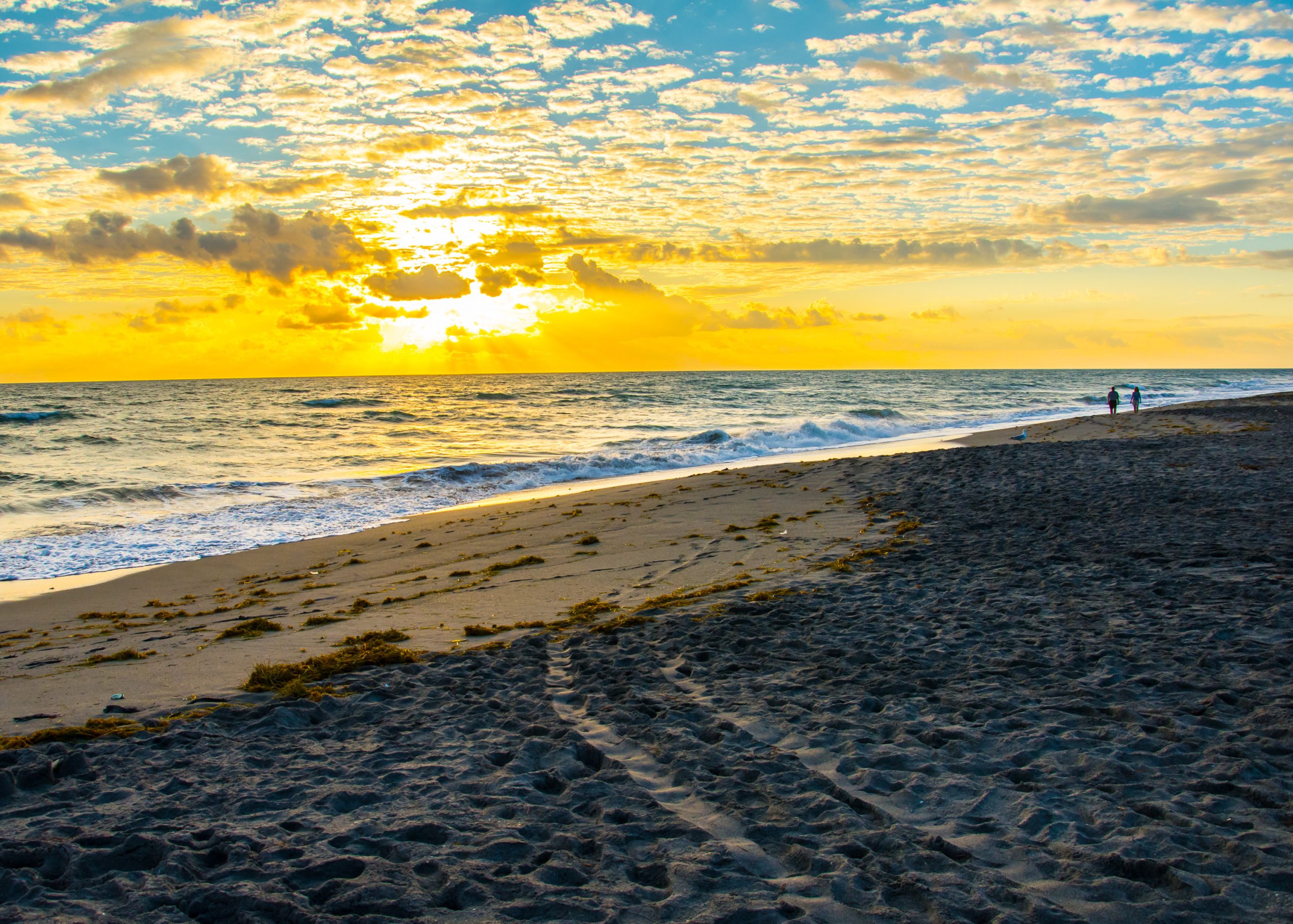 Beach on the Treasure Coast